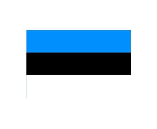 Σημαία Εσθονίας