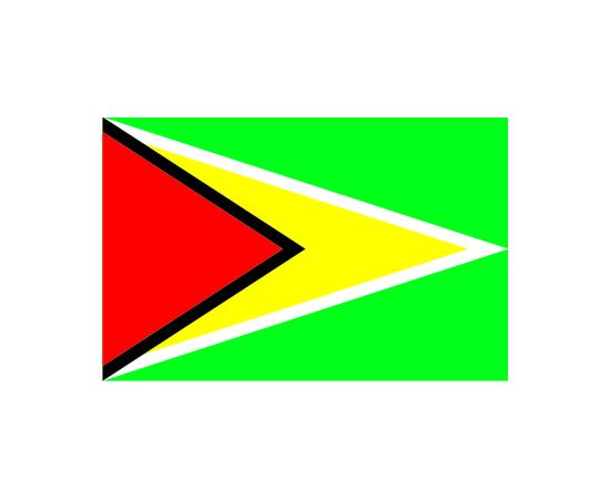 Flag of Guyana