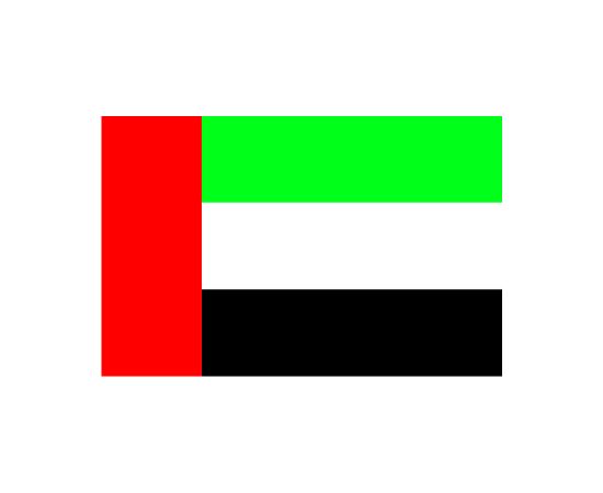 Flag of the United Arab Emirates
