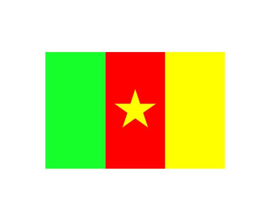 Flag of Cameroon