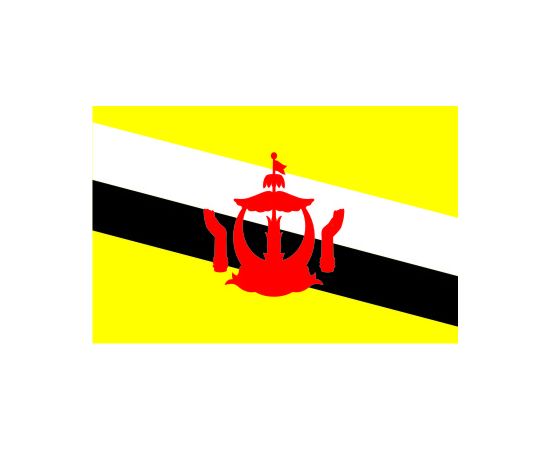 Flag of Brunei