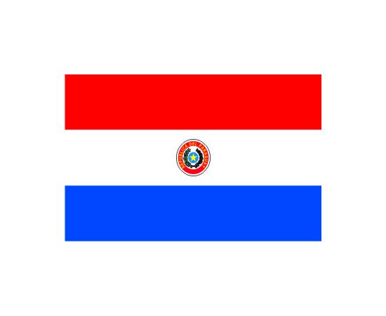 Flag of Paraguay