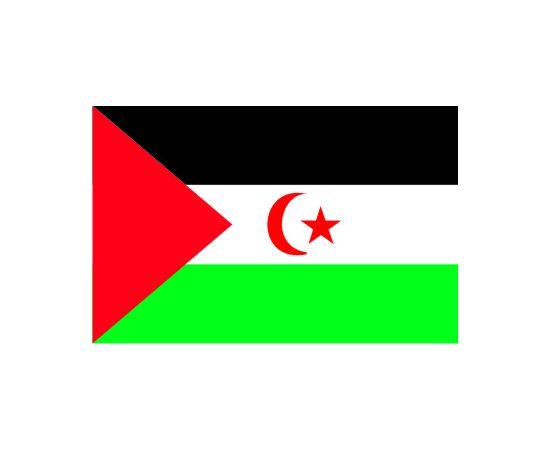 Flag of Western Sahara