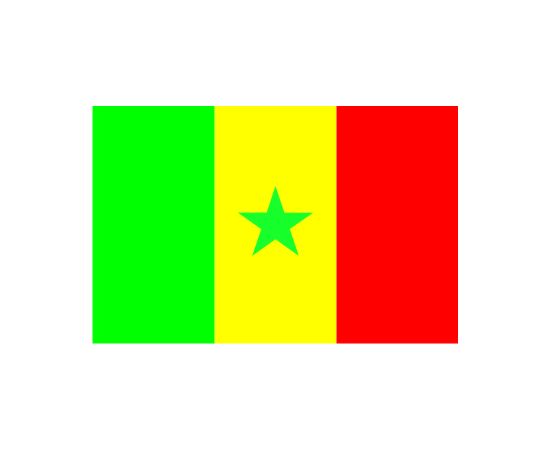 Flag of Senegal