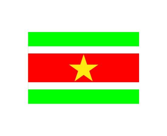 Flag of Suriname