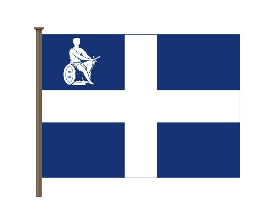 Deputy minister of military affairs flag 1955