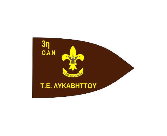 Σημαία ανιχνευτών