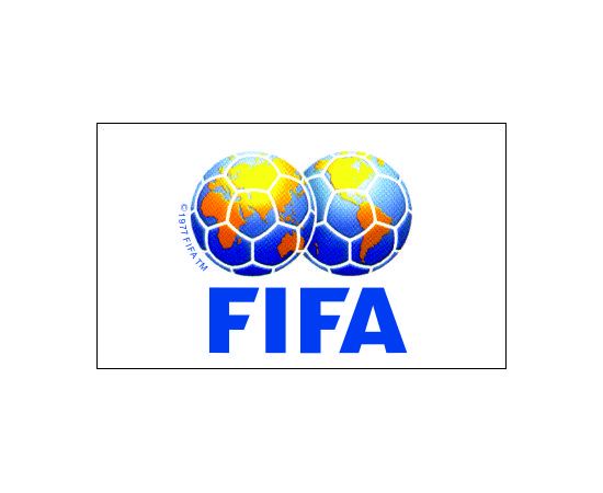 Fifa flag