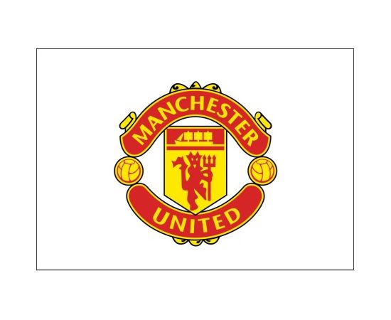 Manchester united flag