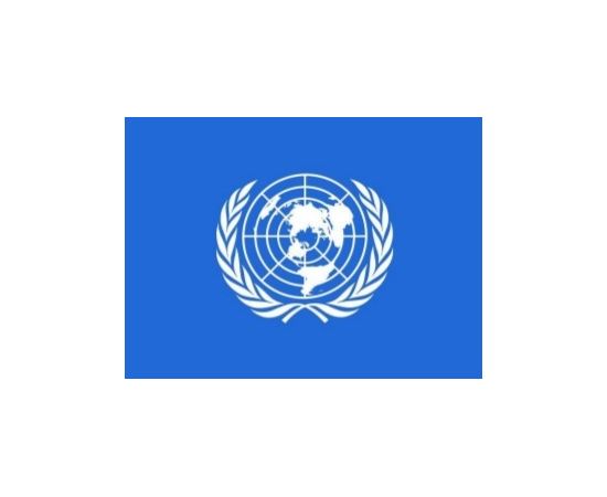 Flag of the United Nations Organisation